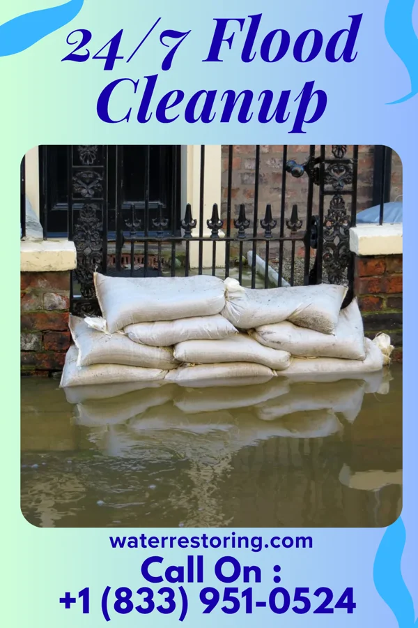 24/7 Flood Cleanup in Le Roy, MN