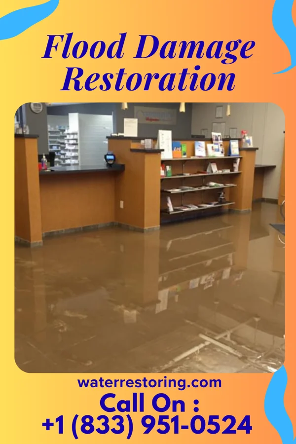 Flood Damage Restoration in Le Roy, MN