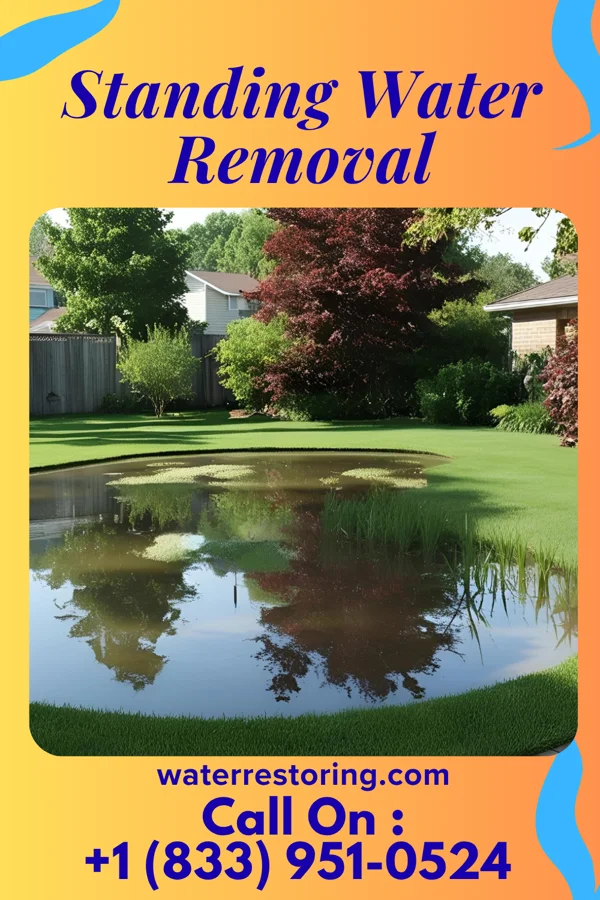 Standing Water Removal in Le Roy, MN
